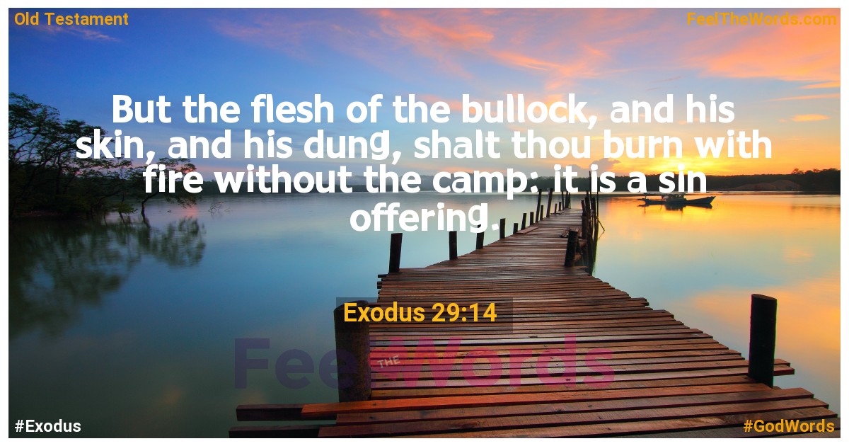 Exodus 29:14
