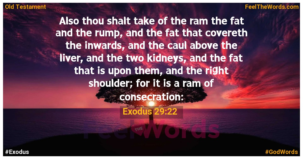Exodus 29:22