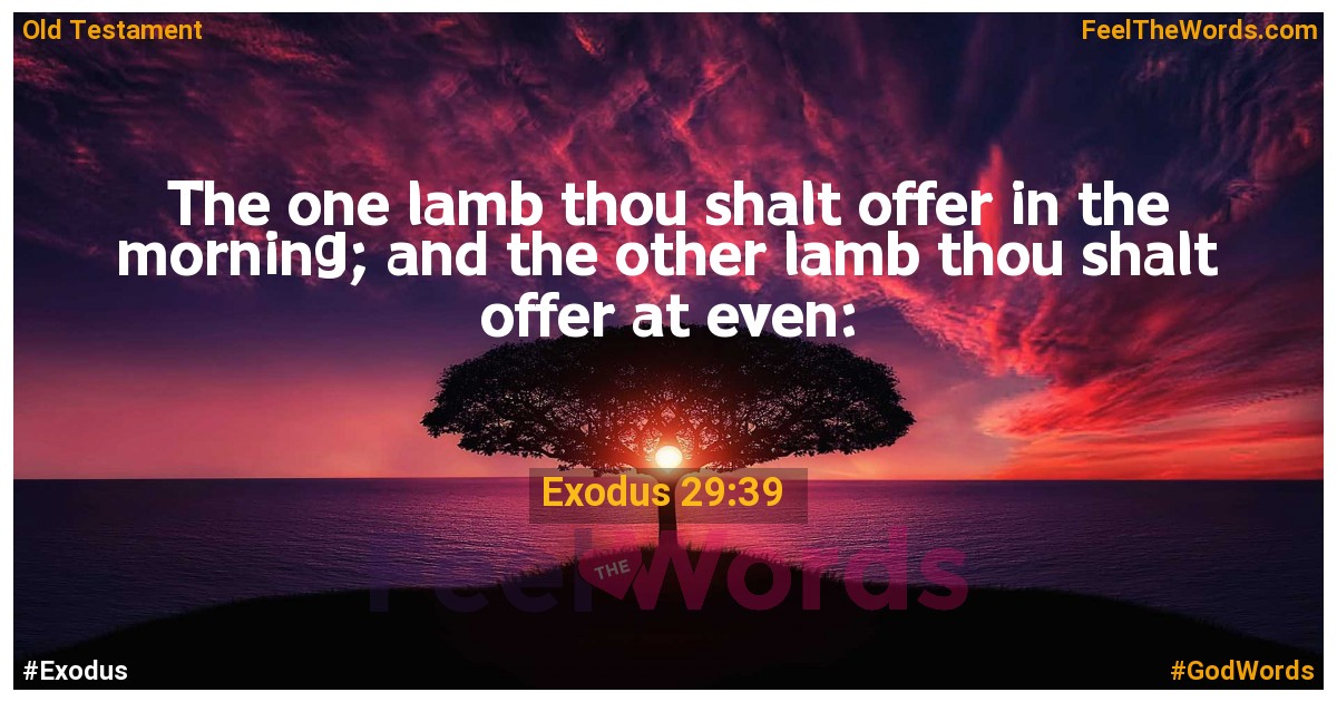 Exodus 29:39