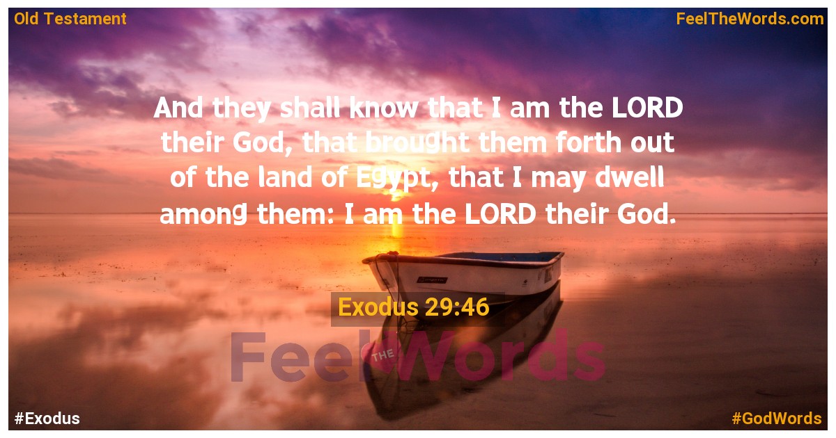 Exodus 29:46