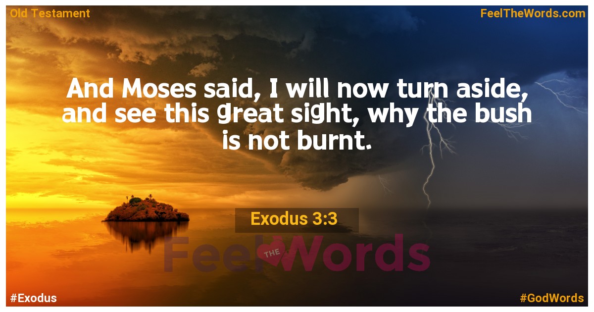 Exodus 3:3
