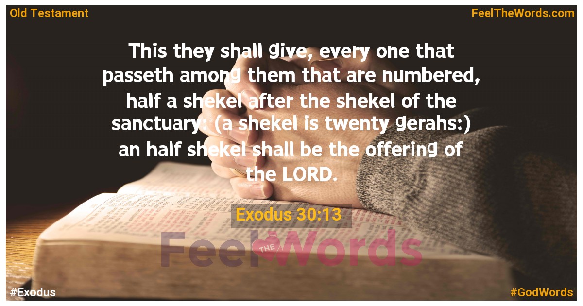 Exodus 30:13