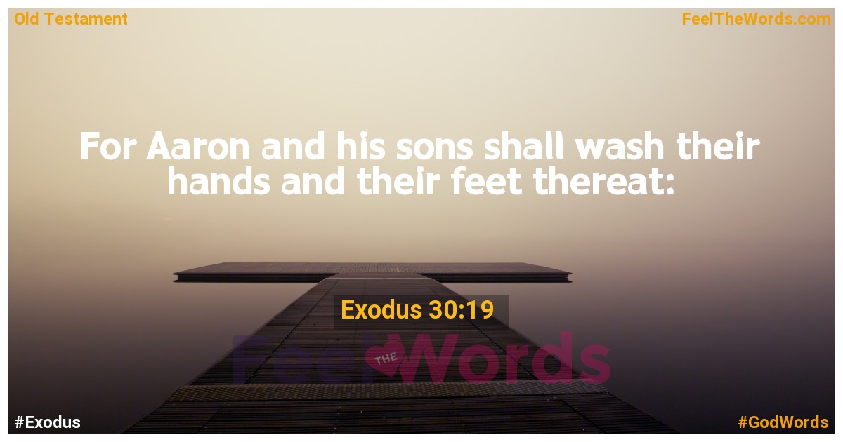 Exodus 30:19