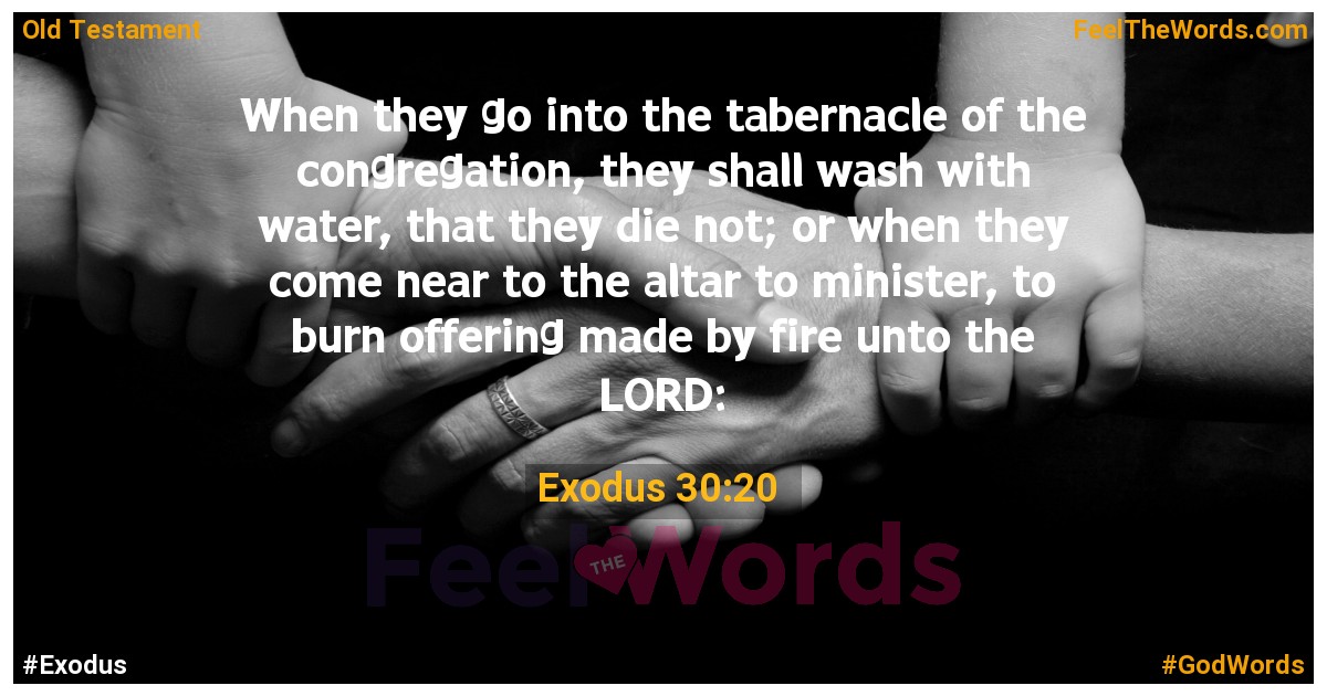 Exodus 30:20