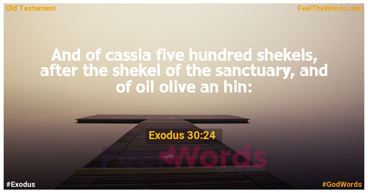 Exodus 30:24