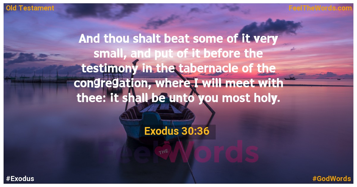 Exodus 30:36