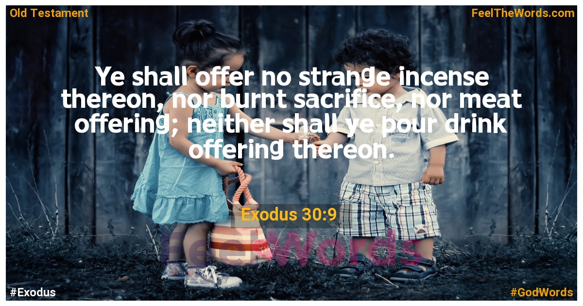 Exodus 30:9