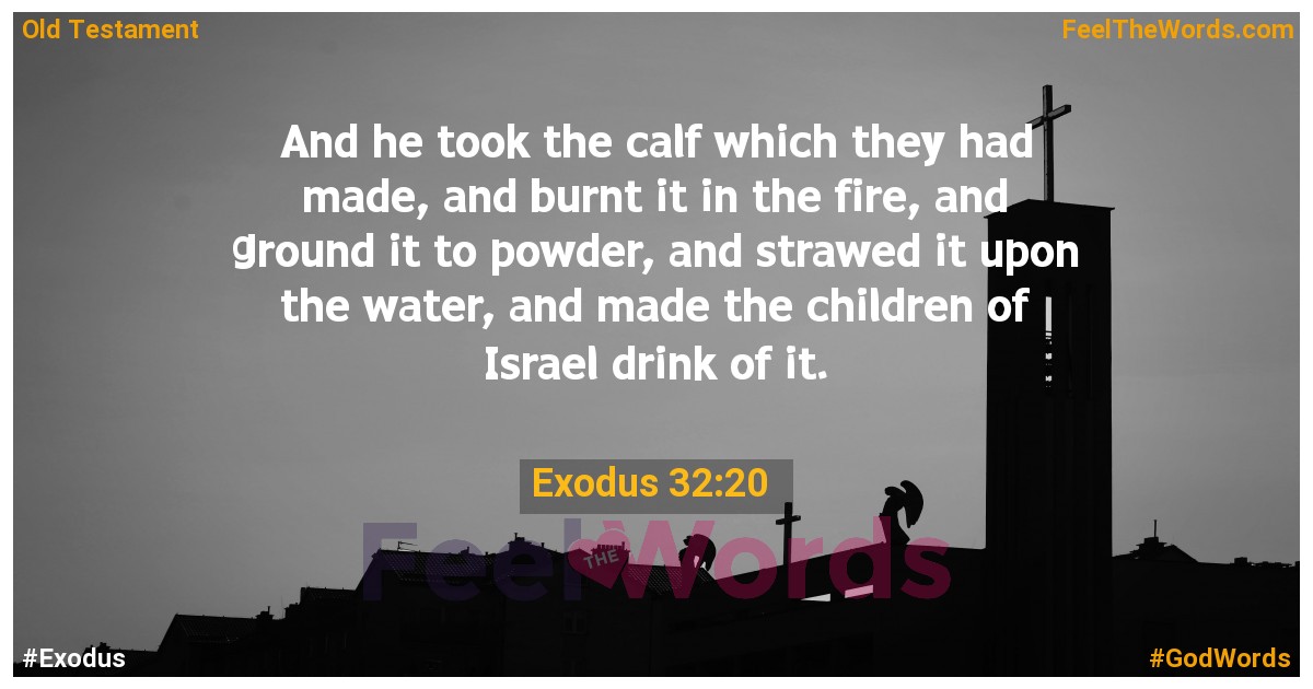 Exodus 32:20