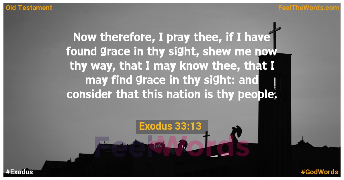 Exodus 33:13