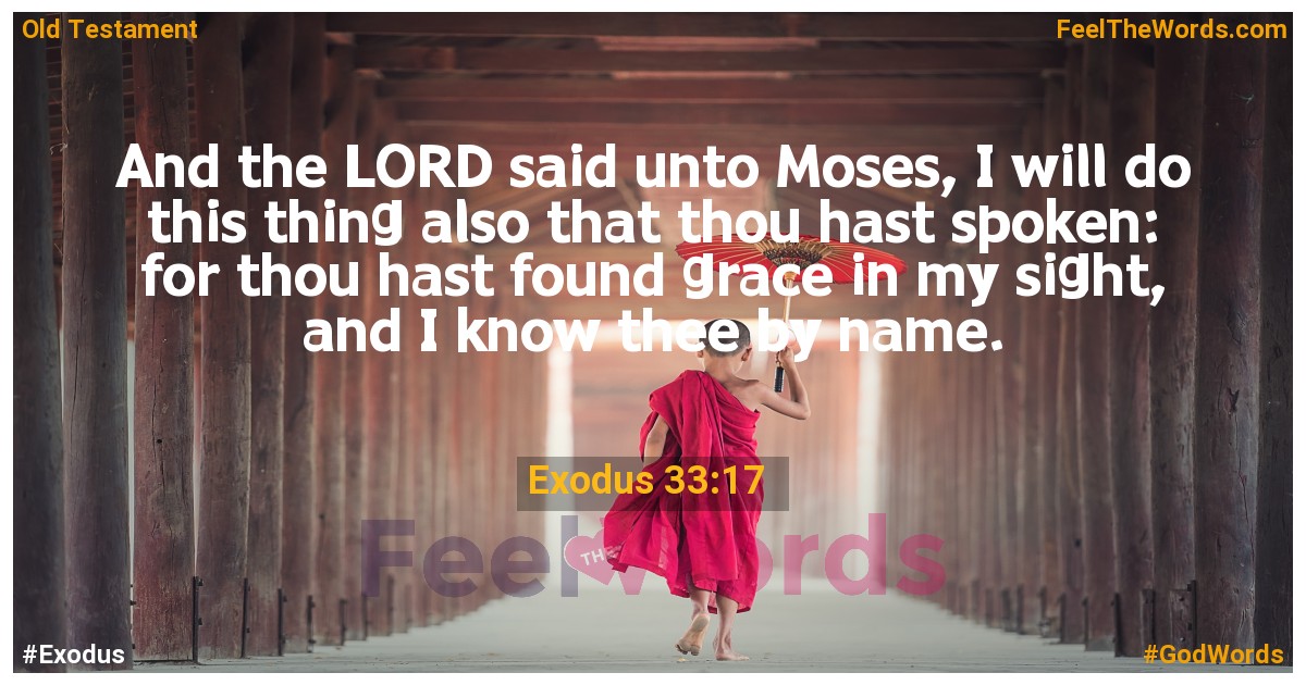 Exodus 33:17