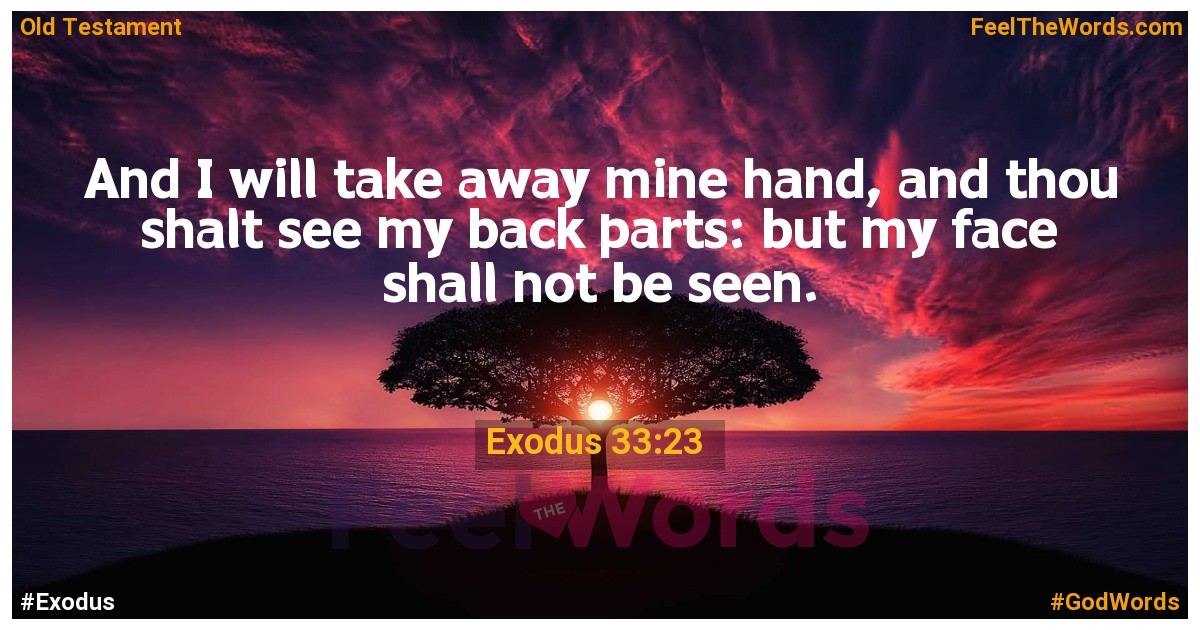 Exodus 33:23