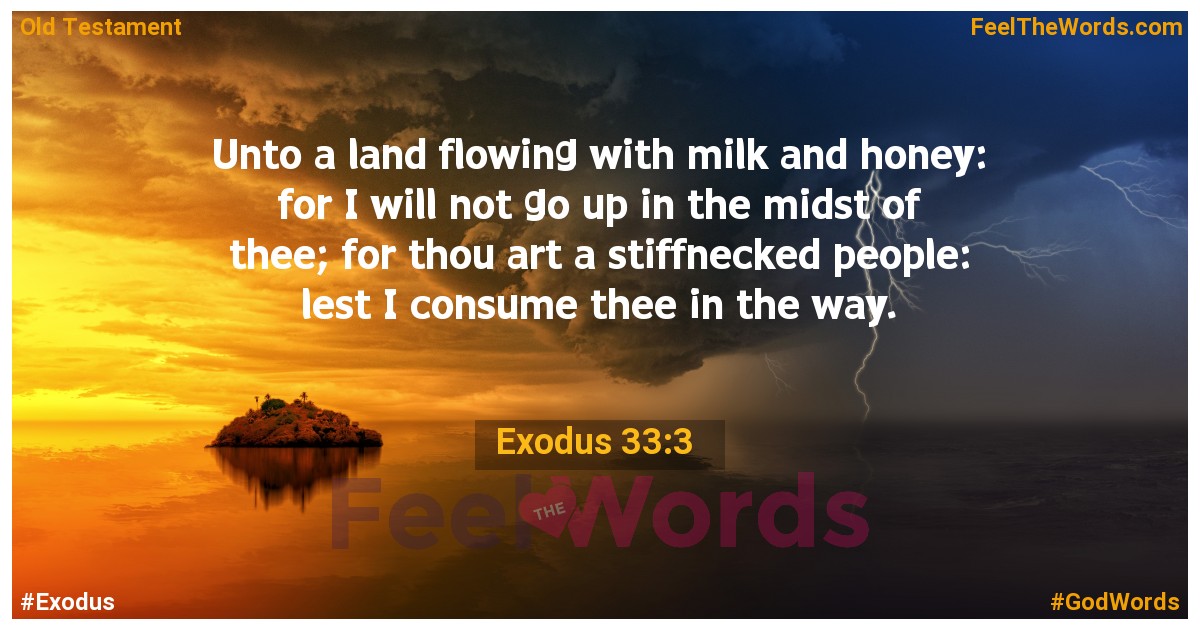 Exodus 33:3