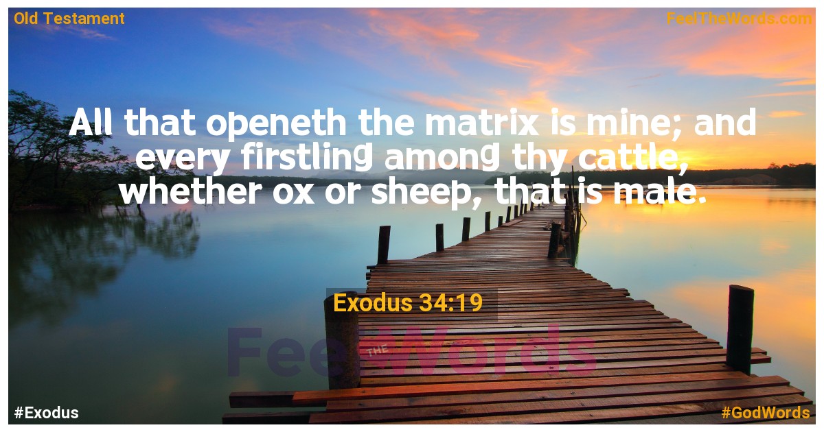 Exodus 34:19