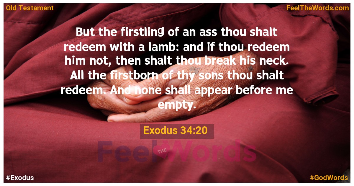 Exodus 34:20