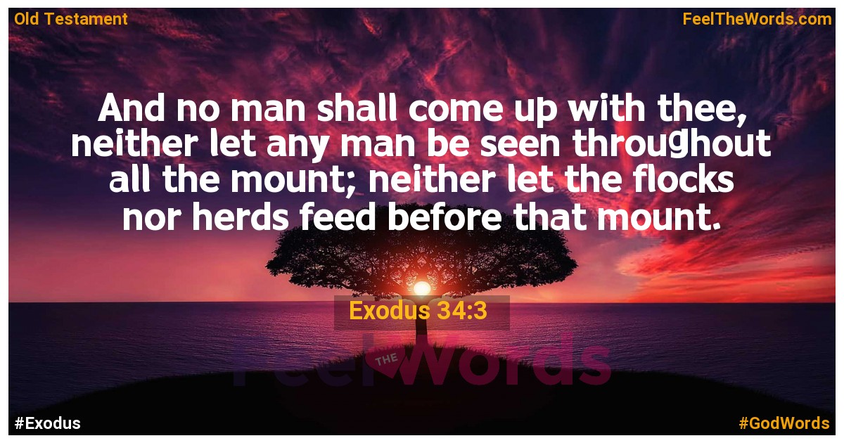 Exodus 34:3