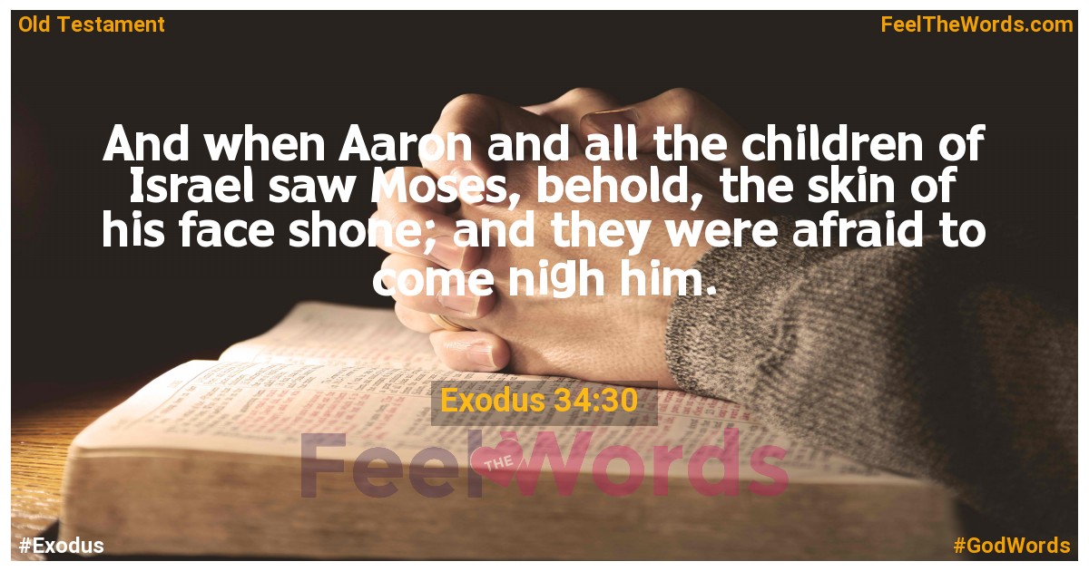 Exodus 34:30