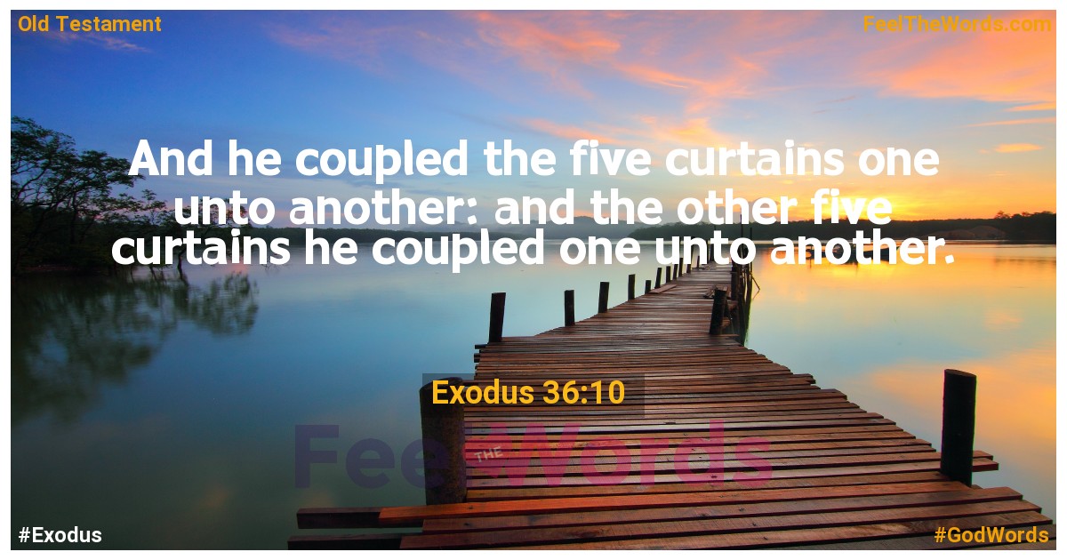 Exodus 36:10