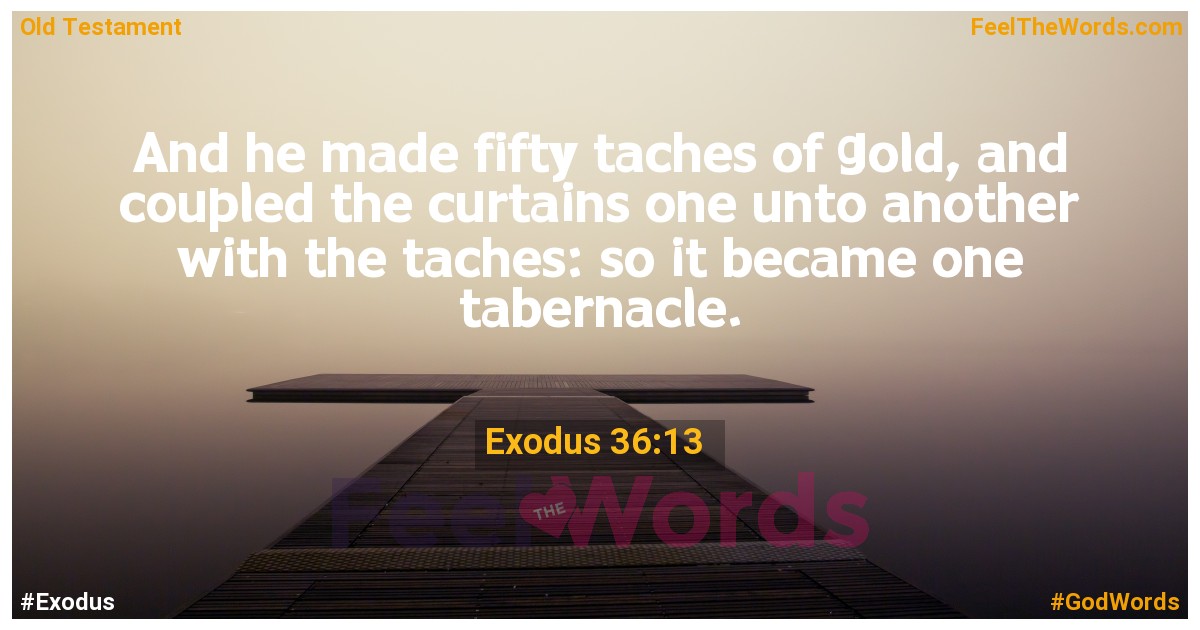 Exodus 36:13