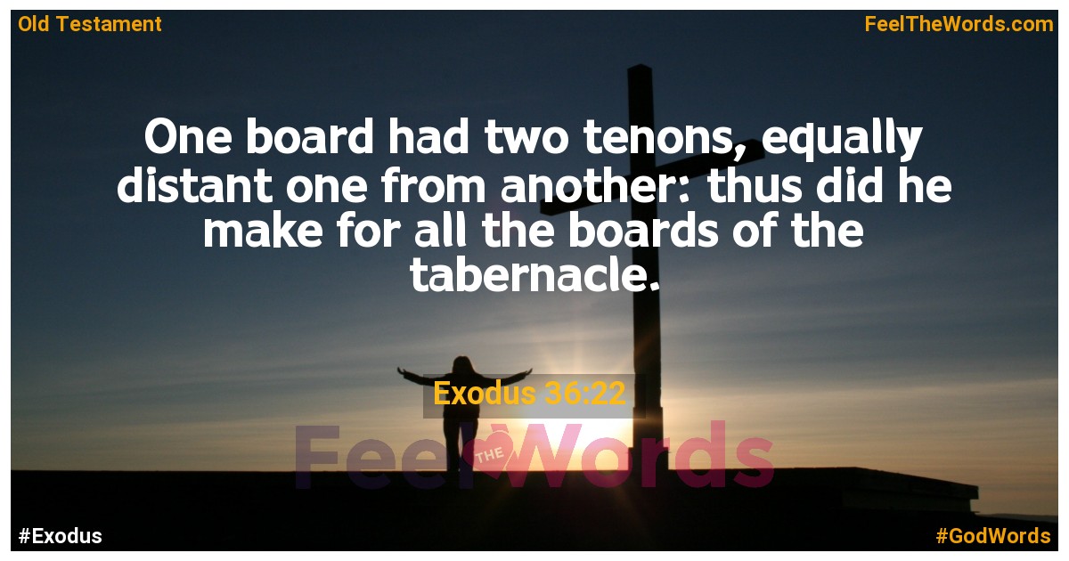 Exodus 36:22