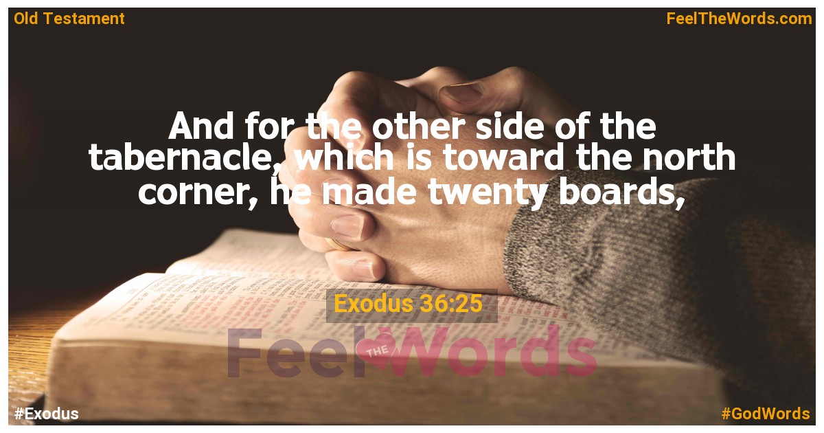 Exodus 36:25