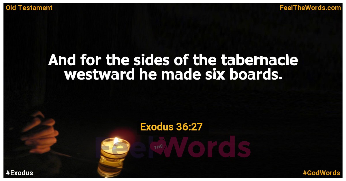 Exodus 36:27