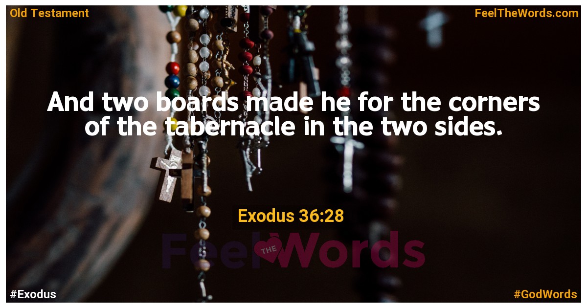 Exodus 36:28