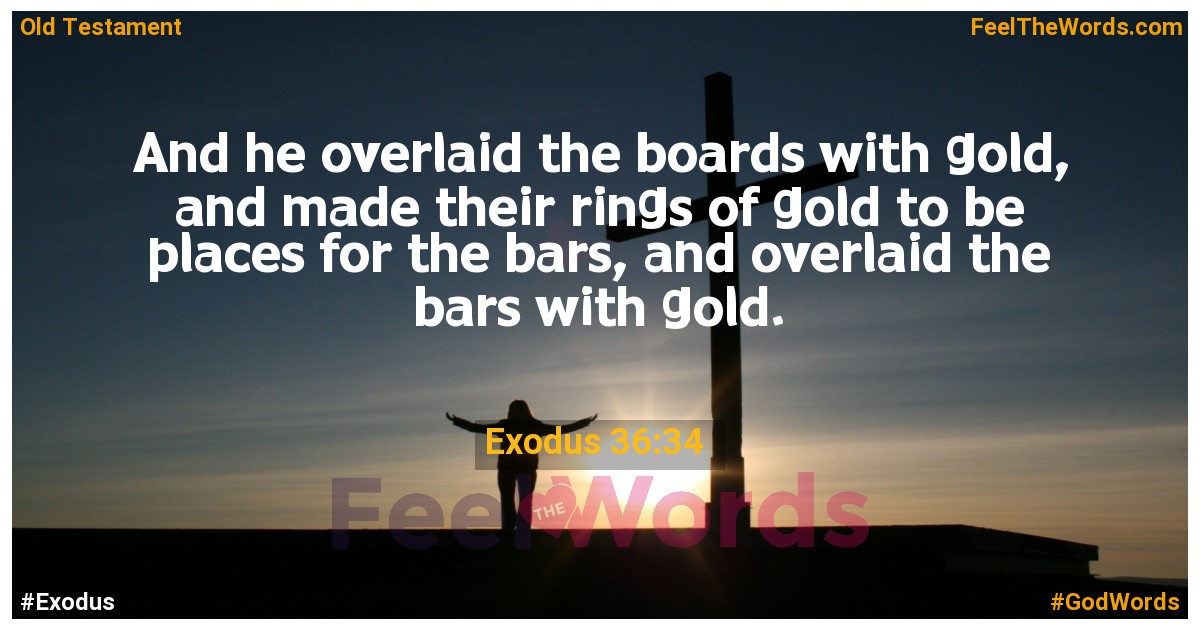 Exodus 36:34