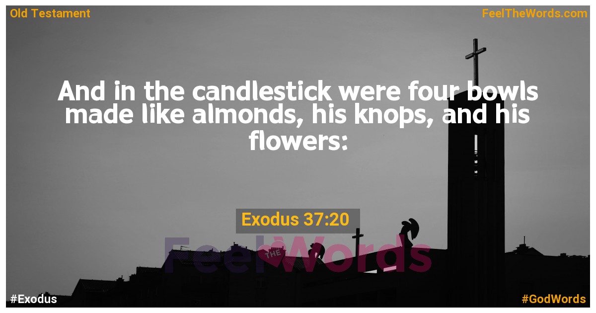 Exodus 37:20