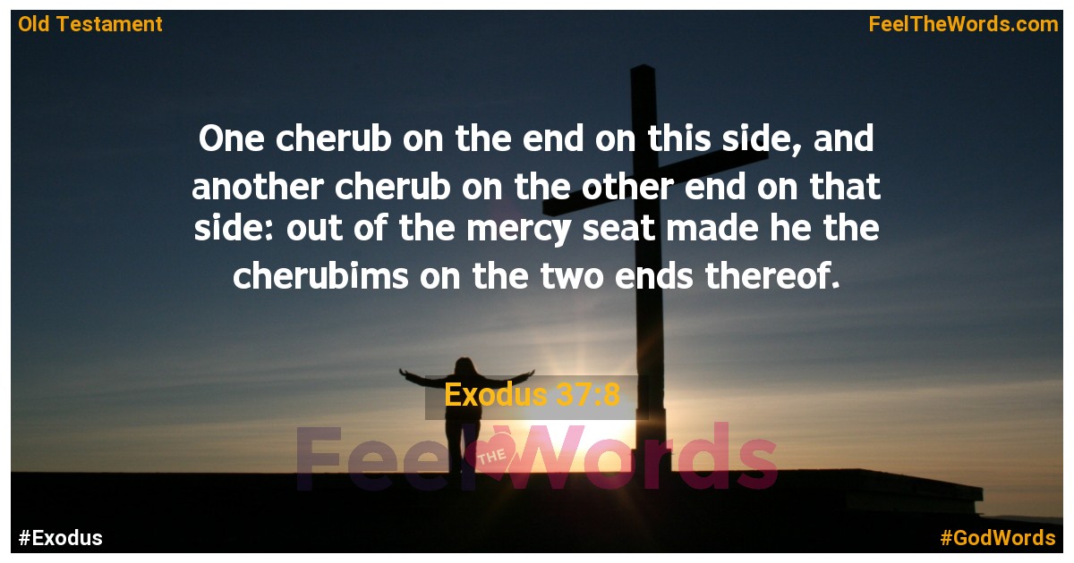 Exodus 37:8