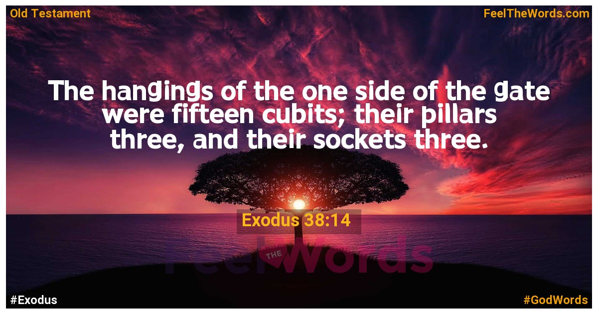 Exodus 38:14