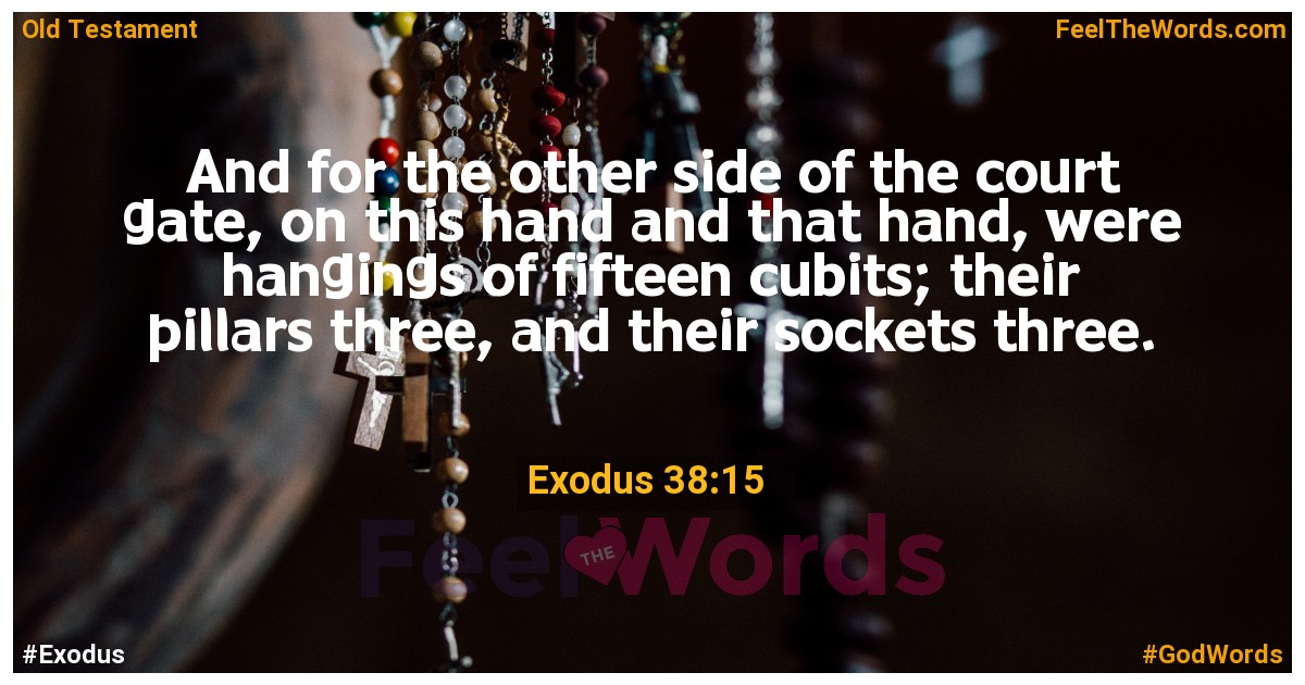 Exodus 38:15