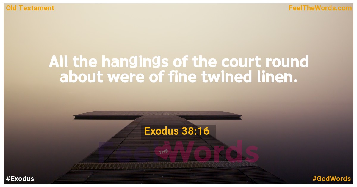 Exodus 38:16