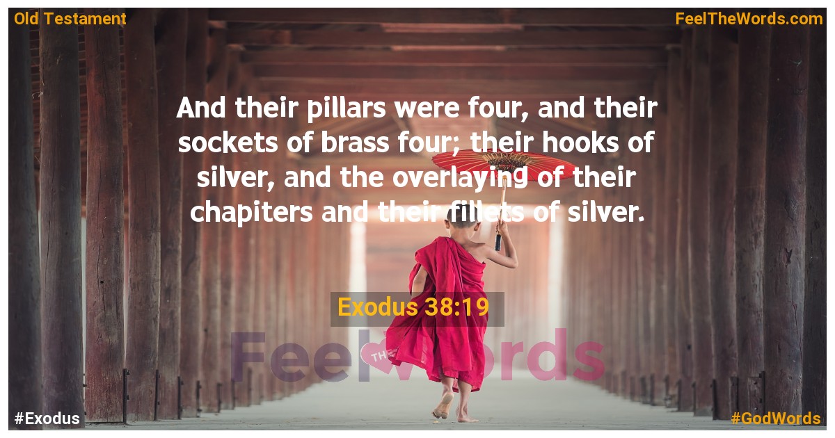 Exodus 38:19