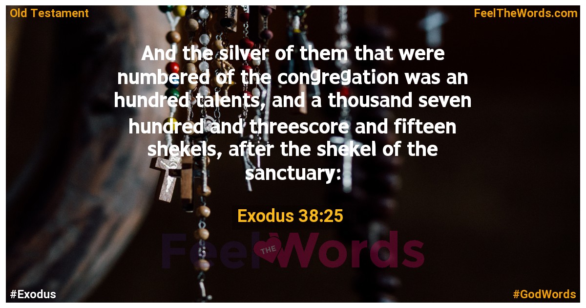 Exodus 38:25
