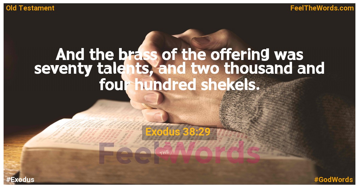 Exodus 38:29