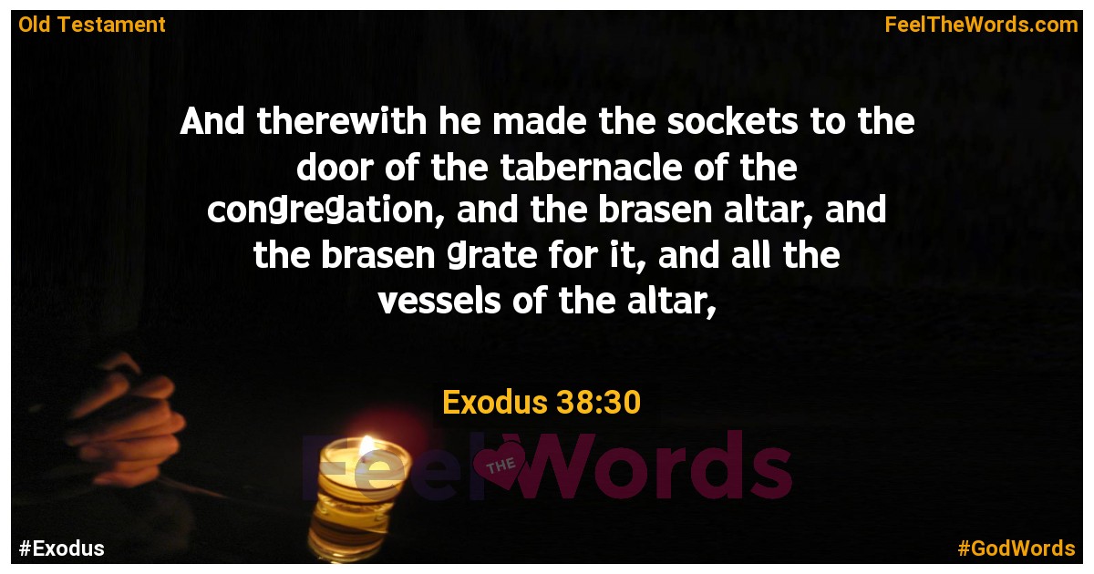 Exodus 38:30