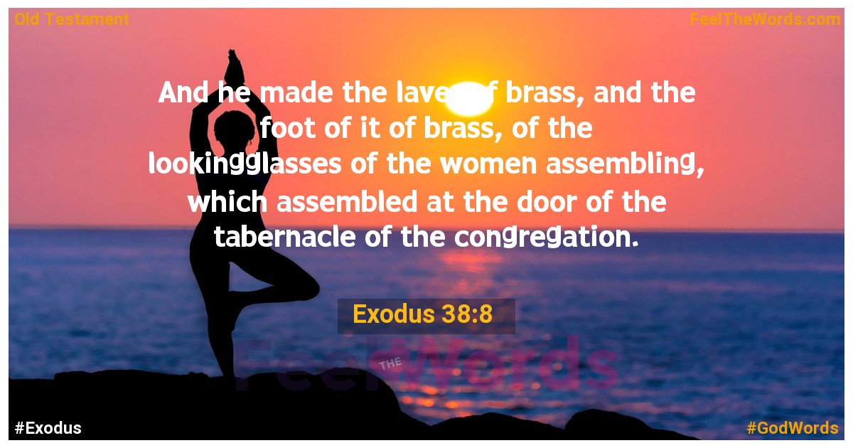 Exodus 38:8