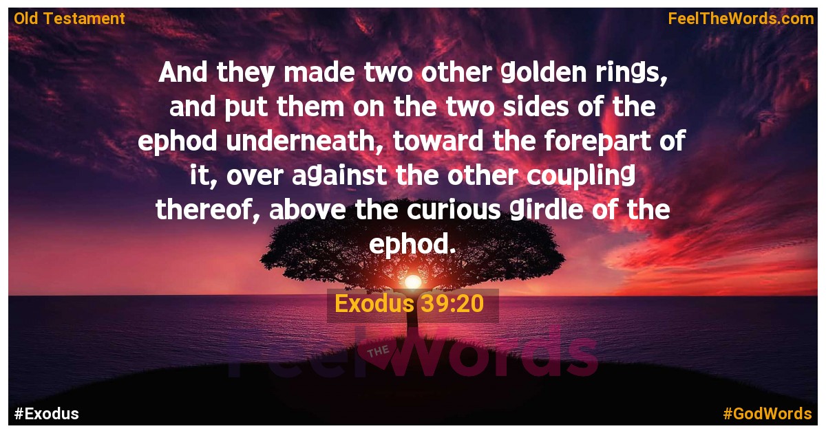 Exodus 39:20