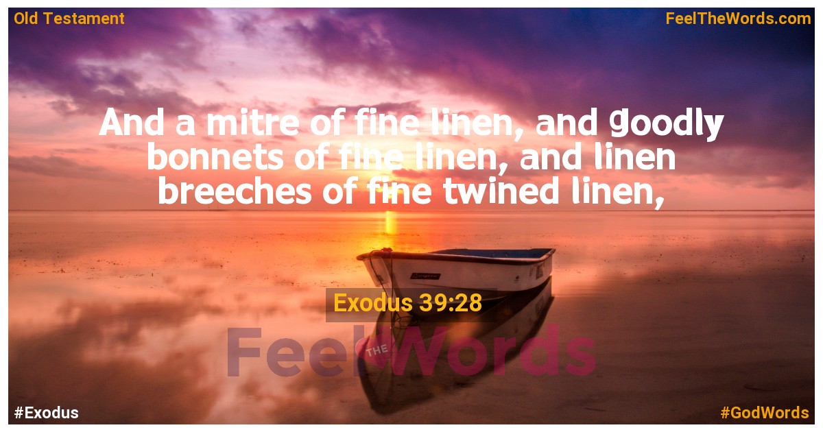Exodus 39:28