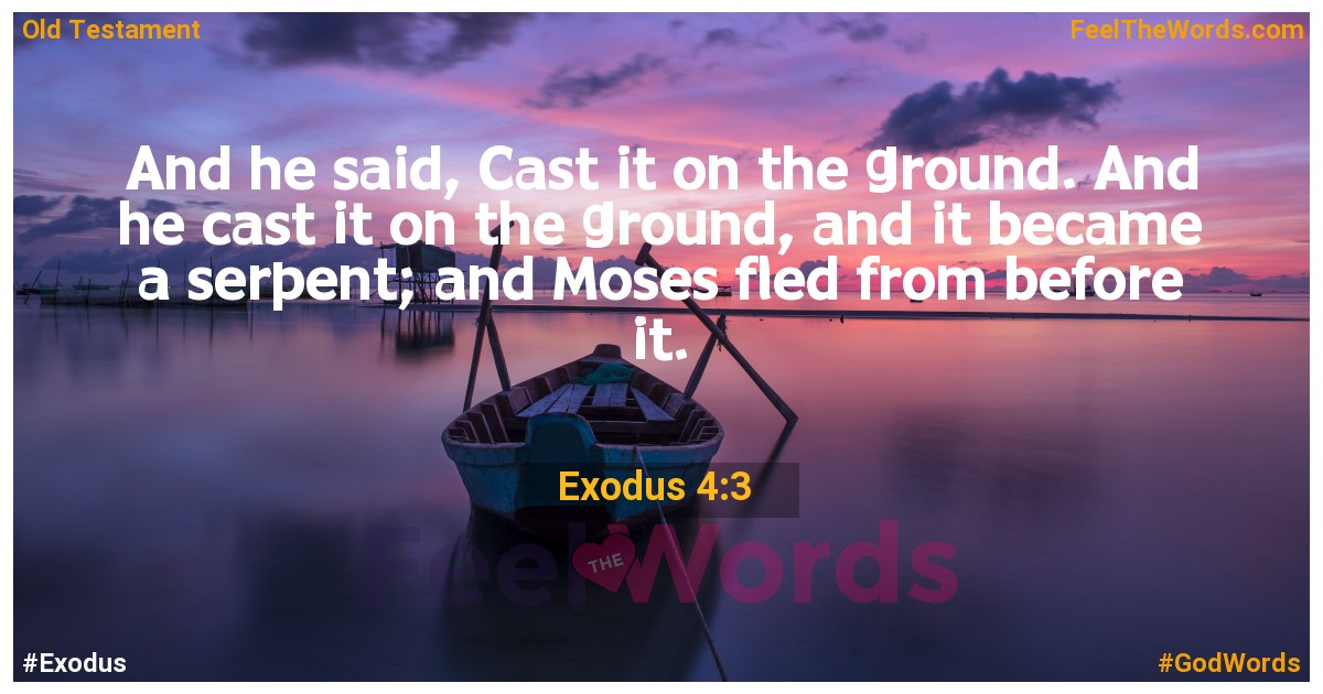 Exodus 4:3