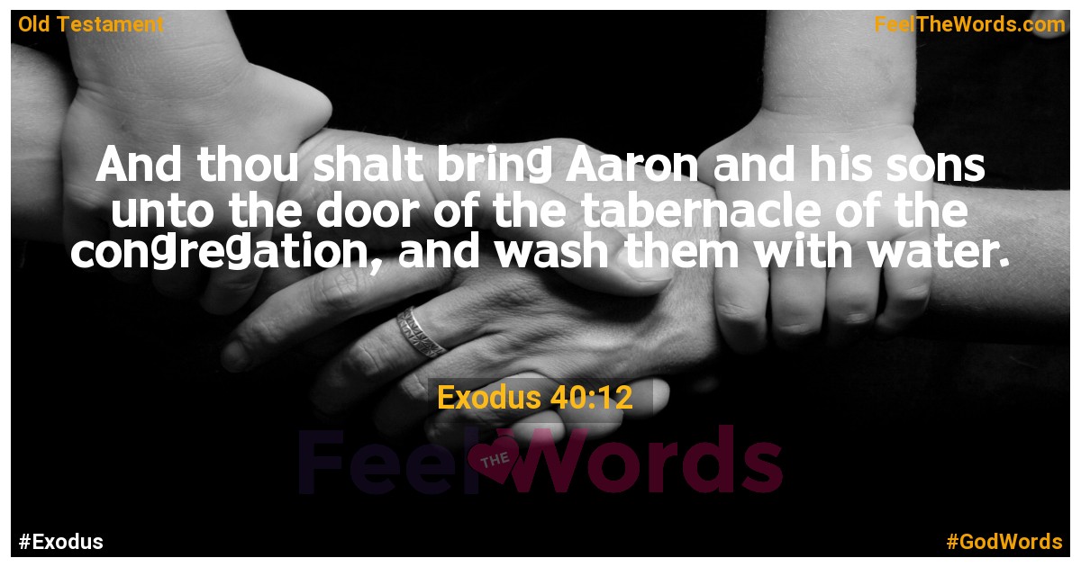 Exodus 40:12