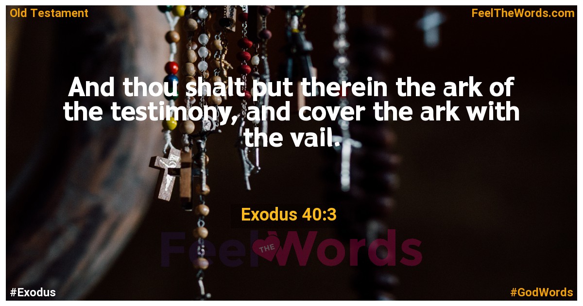Exodus 40:3