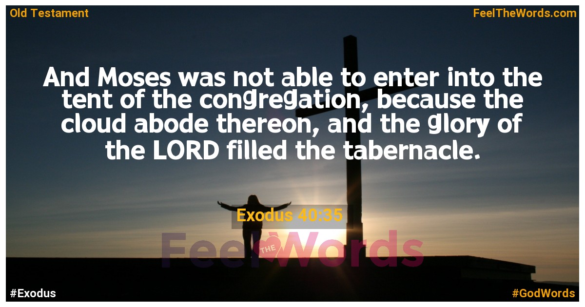 Exodus 40:35