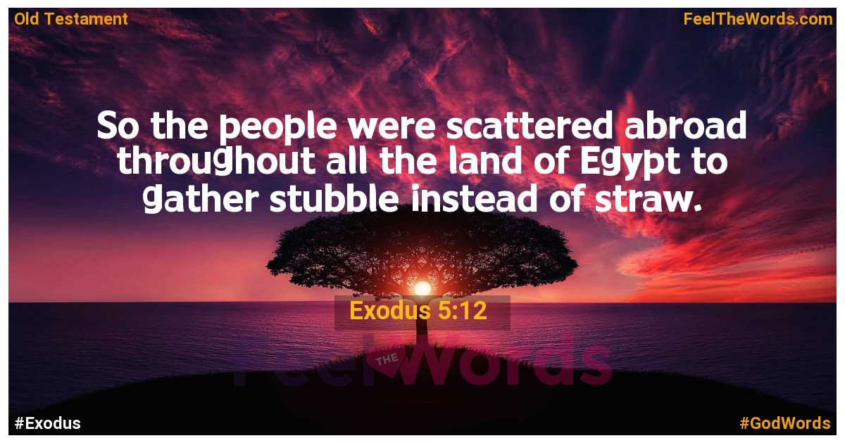 Exodus 5:12