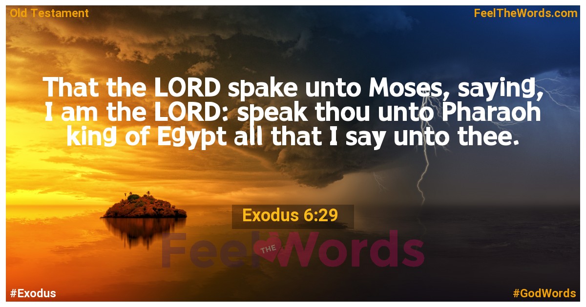 Exodus 6:29