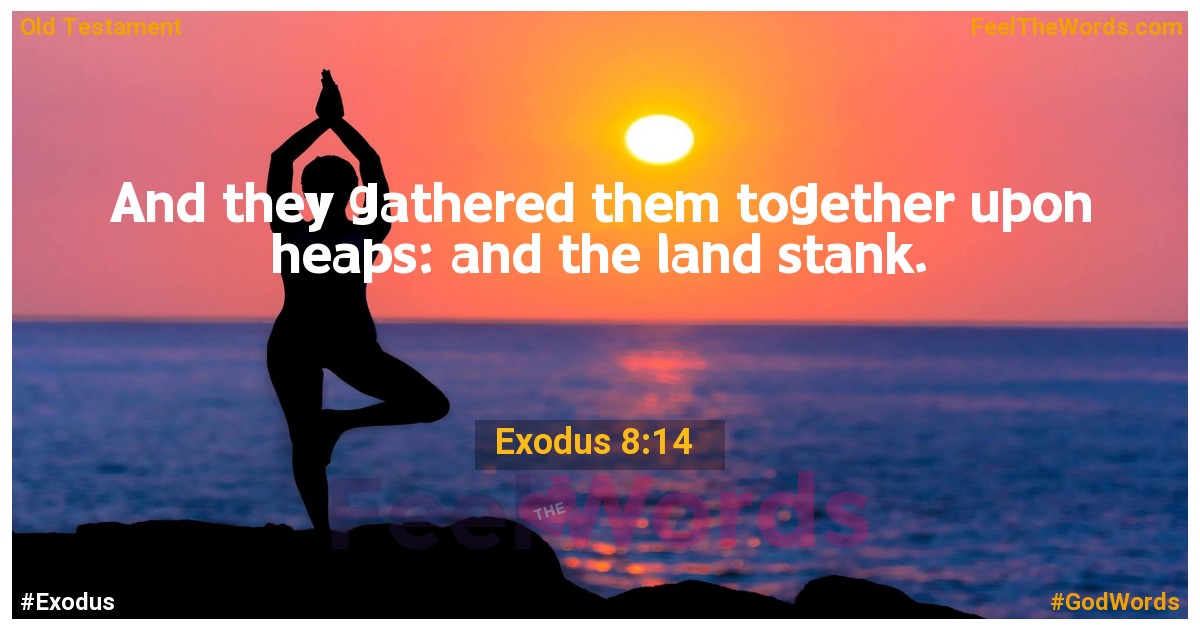 Exodus 8:14