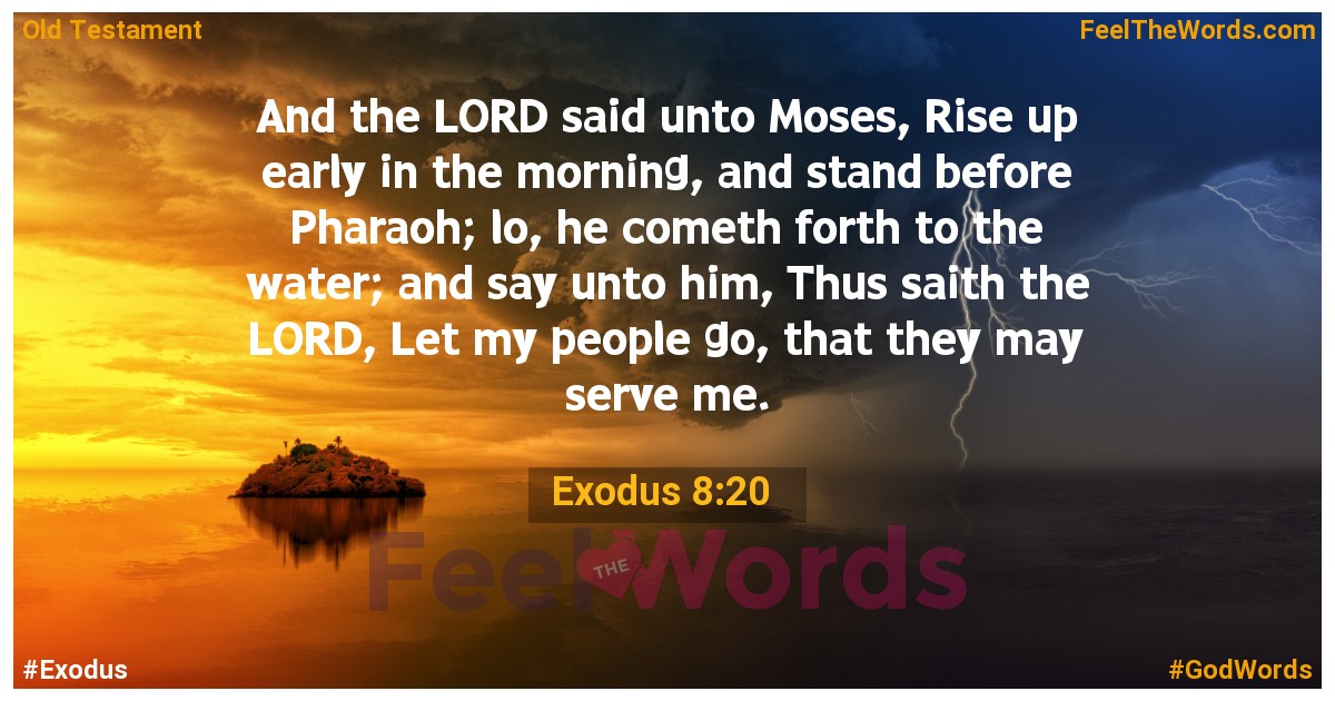 Exodus 8:20