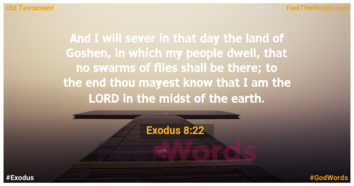 Exodus 8:22