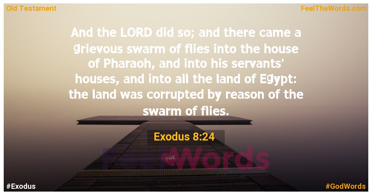 Exodus 8:24