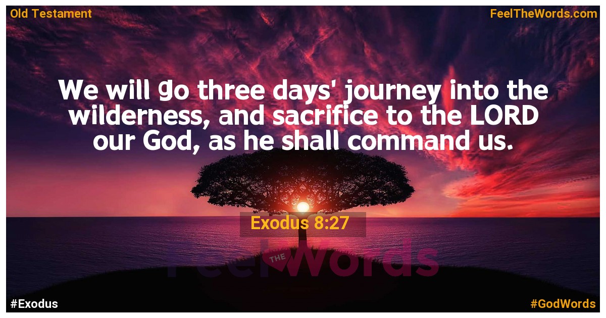 Exodus 8:27
